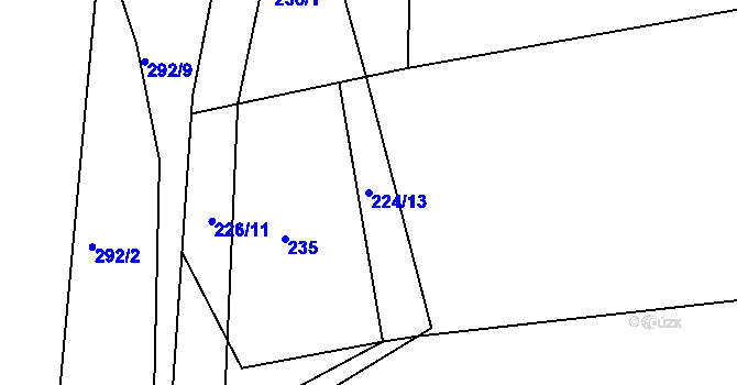 Parcela st. 224/13 v KÚ Němetice, Katastrální mapa