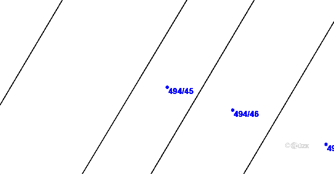 Parcela st. 494/45 v KÚ Neplachov, Katastrální mapa