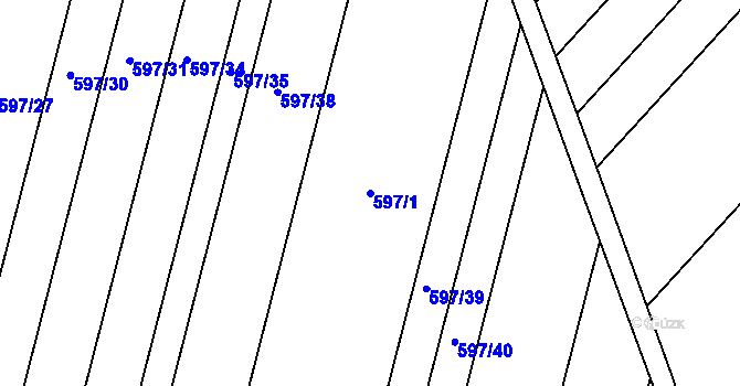 Parcela st. 597/1 v KÚ Neplachov, Katastrální mapa