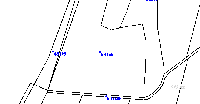Parcela st. 597/5 v KÚ Neplachov, Katastrální mapa