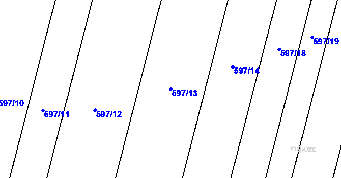 Parcela st. 597/13 v KÚ Neplachov, Katastrální mapa