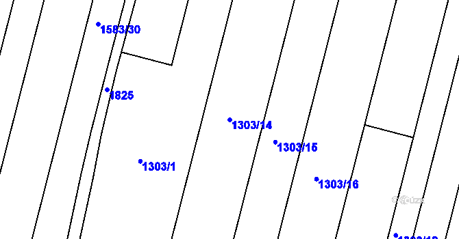 Parcela st. 1303/14 v KÚ Neplachov, Katastrální mapa
