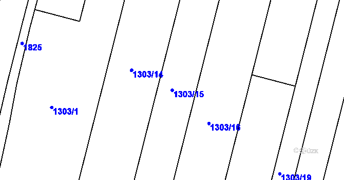 Parcela st. 1303/15 v KÚ Neplachov, Katastrální mapa
