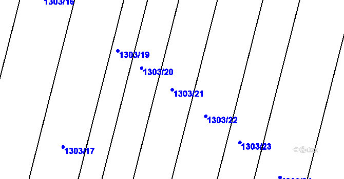 Parcela st. 1303/21 v KÚ Neplachov, Katastrální mapa