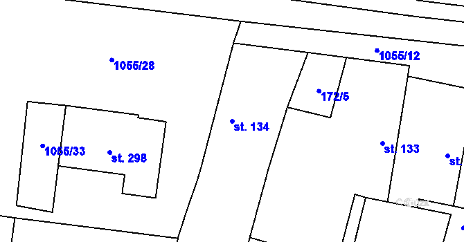 Parcela st. 134 v KÚ Nepolisy, Katastrální mapa