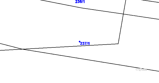 Parcela st. 237/1 v KÚ Nepolisy, Katastrální mapa