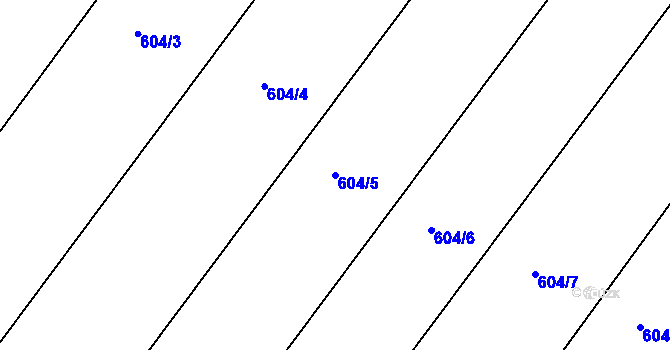 Parcela st. 604/5 v KÚ Nepomuk pod Třemšínem, Katastrální mapa