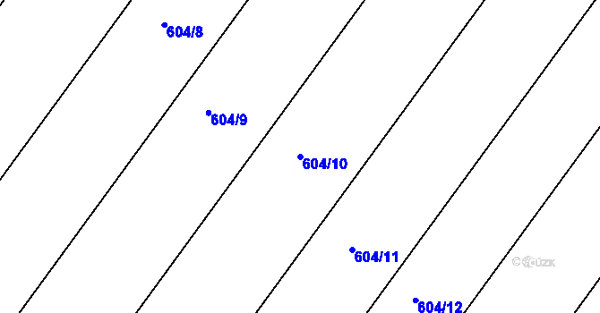 Parcela st. 604/10 v KÚ Nepomuk pod Třemšínem, Katastrální mapa