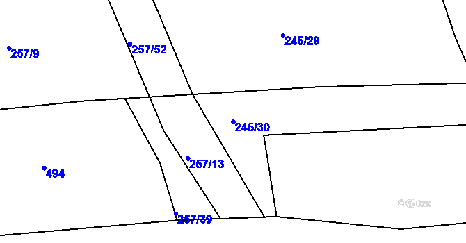 Parcela st. 245/30 v KÚ Nepomuk pod Třemšínem, Katastrální mapa