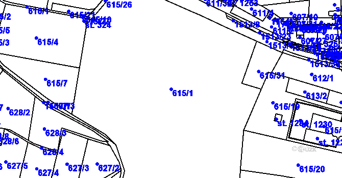 Parcela st. 615/1 v KÚ Nepomuk, Katastrální mapa