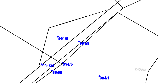 Parcela st. 991/8 v KÚ Nepomuk, Katastrální mapa