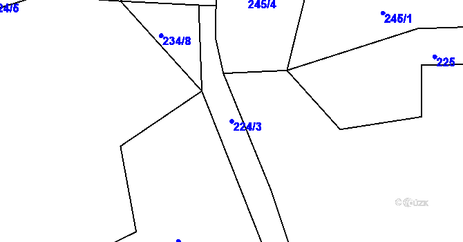 Parcela st. 224/3 v KÚ Nepřejov, Katastrální mapa