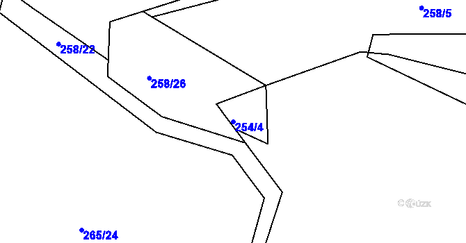 Parcela st. 254/4 v KÚ Nepřejov, Katastrální mapa