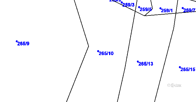 Parcela st. 265/10 v KÚ Nepřejov, Katastrální mapa