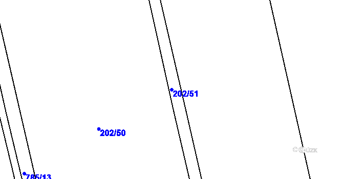 Parcela st. 202/51 v KÚ Nepřevázka, Katastrální mapa