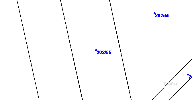Parcela st. 202/55 v KÚ Nepřevázka, Katastrální mapa