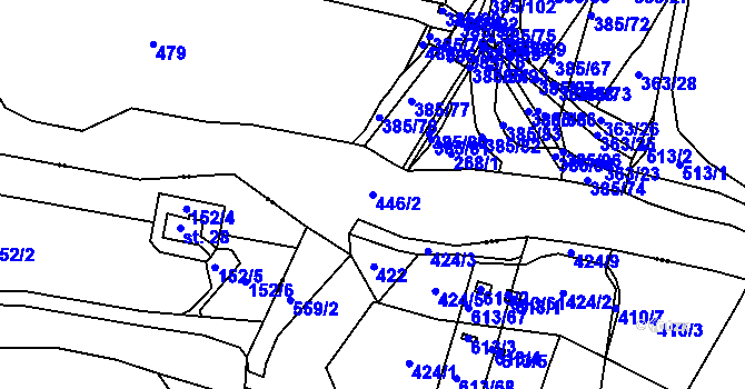 Parcela st. 446/2 v KÚ Dolní Nerestce, Katastrální mapa