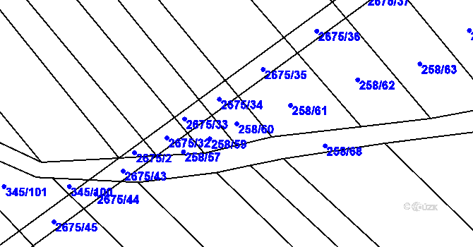 Parcela st. 258/60 v KÚ Neslovice, Katastrální mapa