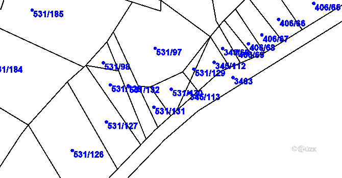 Parcela st. 531/130 v KÚ Neslovice, Katastrální mapa