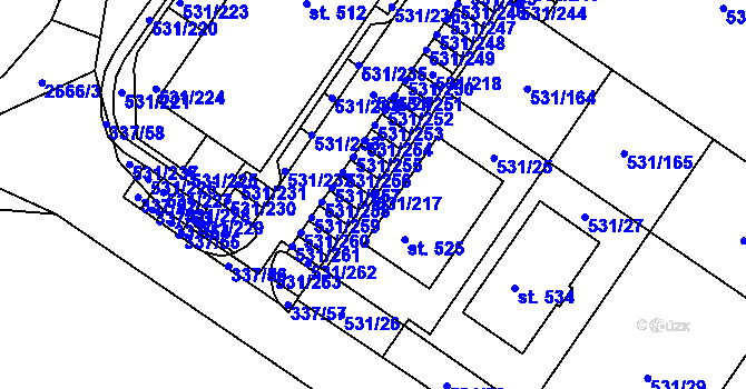 Parcela st. 531/217 v KÚ Neslovice, Katastrální mapa