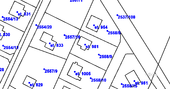 Parcela st. 981 v KÚ Nespeky, Katastrální mapa