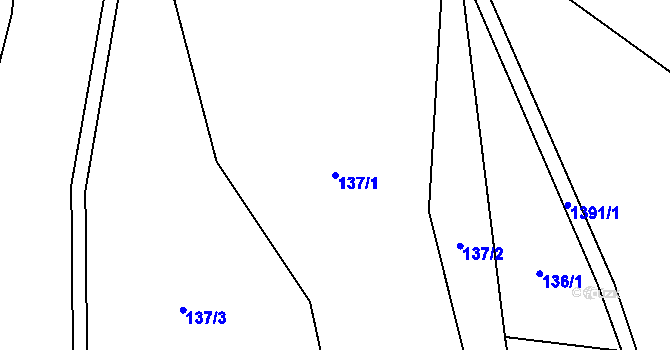 Parcela st. 137/1 v KÚ Nesperská Lhota, Katastrální mapa