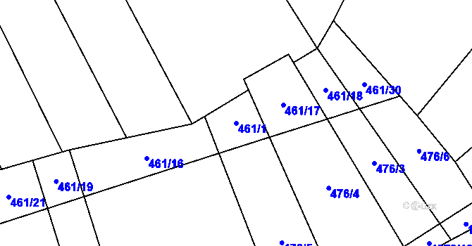 Parcela st. 461/1 v KÚ Nesperská Lhota, Katastrální mapa