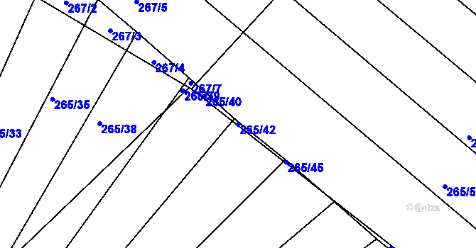 Parcela st. 265/42 v KÚ Nesvačilka, Katastrální mapa