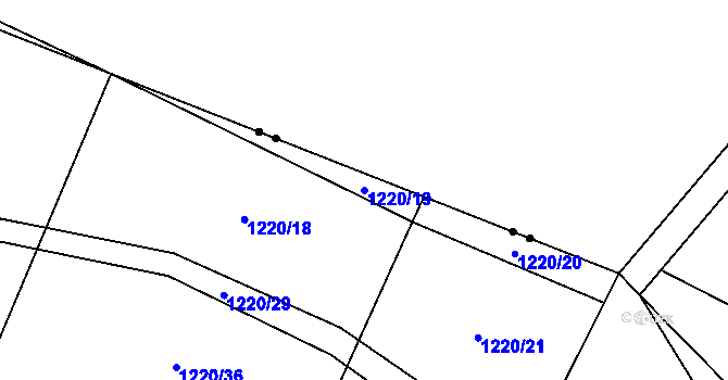Parcela st. 1220/19 v KÚ Netěchovice, Katastrální mapa