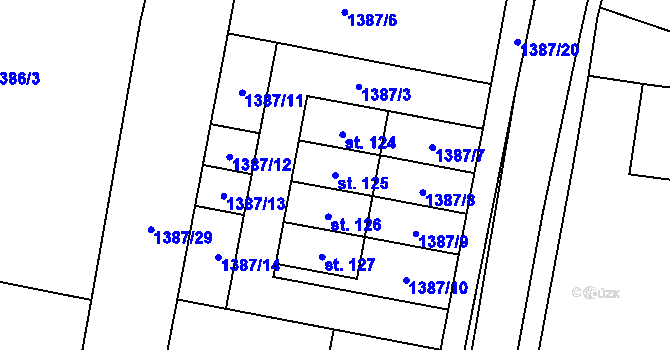 Parcela st. 125 v KÚ Netín, Katastrální mapa