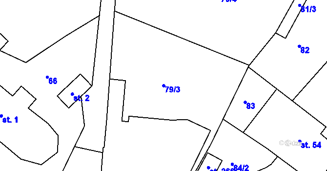 Parcela st. 79/3 v KÚ Netín, Katastrální mapa