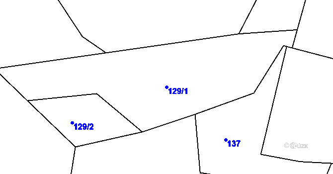 Parcela st. 129/1 v KÚ Netín, Katastrální mapa