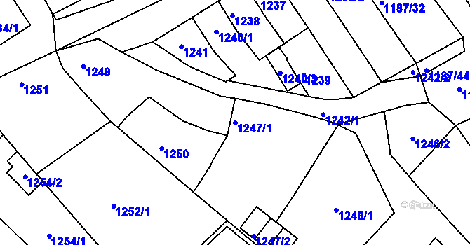 Parcela st. 1247/1 v KÚ Netolice, Katastrální mapa