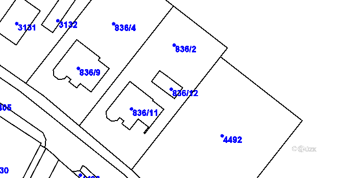 Parcela st. 836/12 v KÚ Netolice, Katastrální mapa