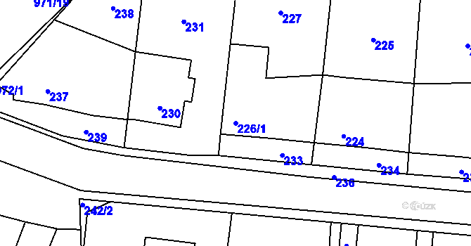 Parcela st. 226/1 v KÚ Netvořice, Katastrální mapa