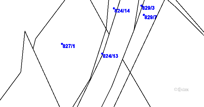 Parcela st. 824/13 v KÚ Netvořice, Katastrální mapa