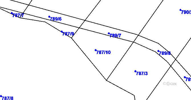 Parcela st. 787/10 v KÚ Neveklov, Katastrální mapa