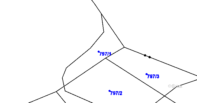 Parcela st. 797/1 v KÚ Neveklov, Katastrální mapa