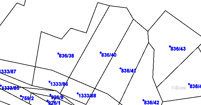 Parcela st. 836/40 v KÚ Nevřeň, Katastrální mapa