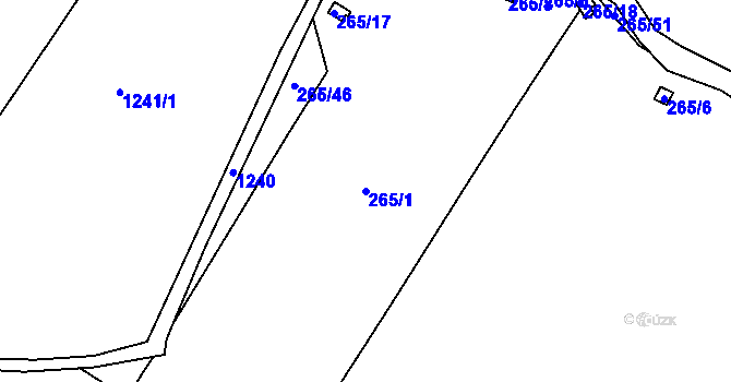 Parcela st. 265/1 v KÚ Žákava, Katastrální mapa