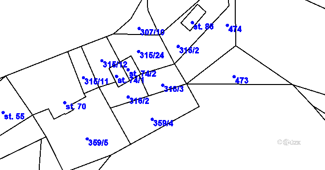 Parcela st. 316/3 v KÚ Němětice, Katastrální mapa