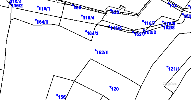 Parcela st. 162/1 v KÚ Černětice, Katastrální mapa