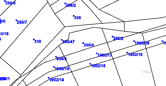 Parcela st. 250/4 v KÚ Nítkovice, Katastrální mapa