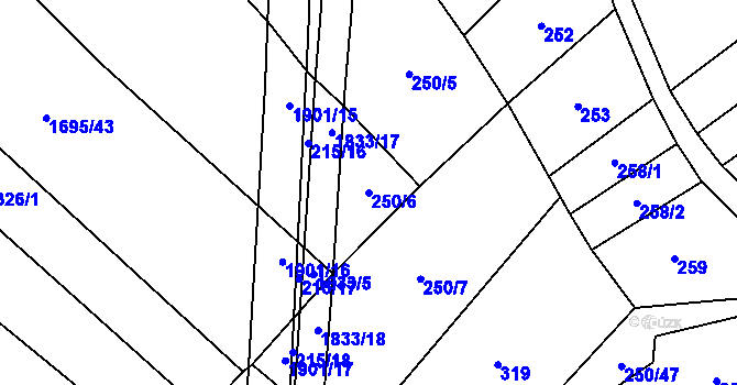 Parcela st. 250/6 v KÚ Nítkovice, Katastrální mapa