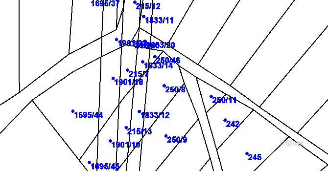 Parcela st. 250/8 v KÚ Nítkovice, Katastrální mapa