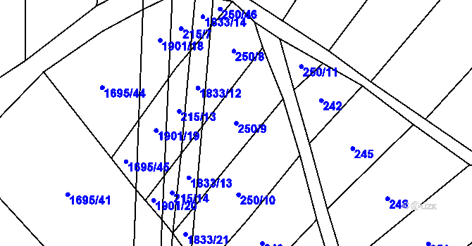 Parcela st. 250/9 v KÚ Nítkovice, Katastrální mapa