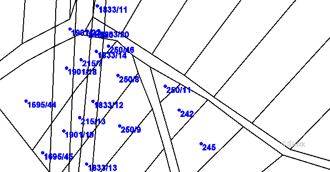 Parcela st. 250/11 v KÚ Nítkovice, Katastrální mapa