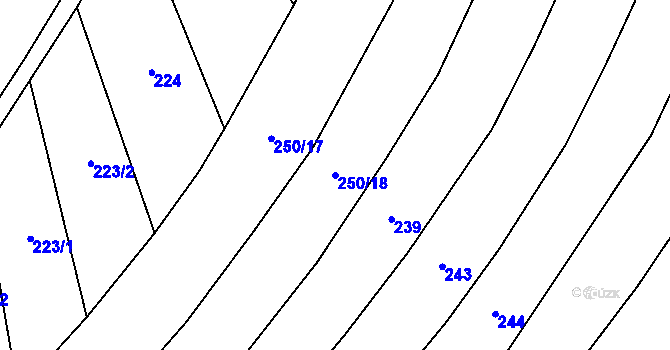 Parcela st. 250/18 v KÚ Nítkovice, Katastrální mapa