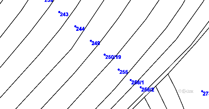 Parcela st. 250/19 v KÚ Nítkovice, Katastrální mapa