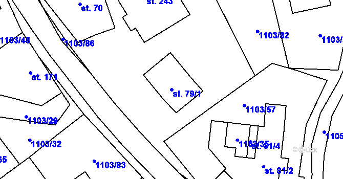 Parcela st. 79/1 v KÚ Niva, Katastrální mapa
